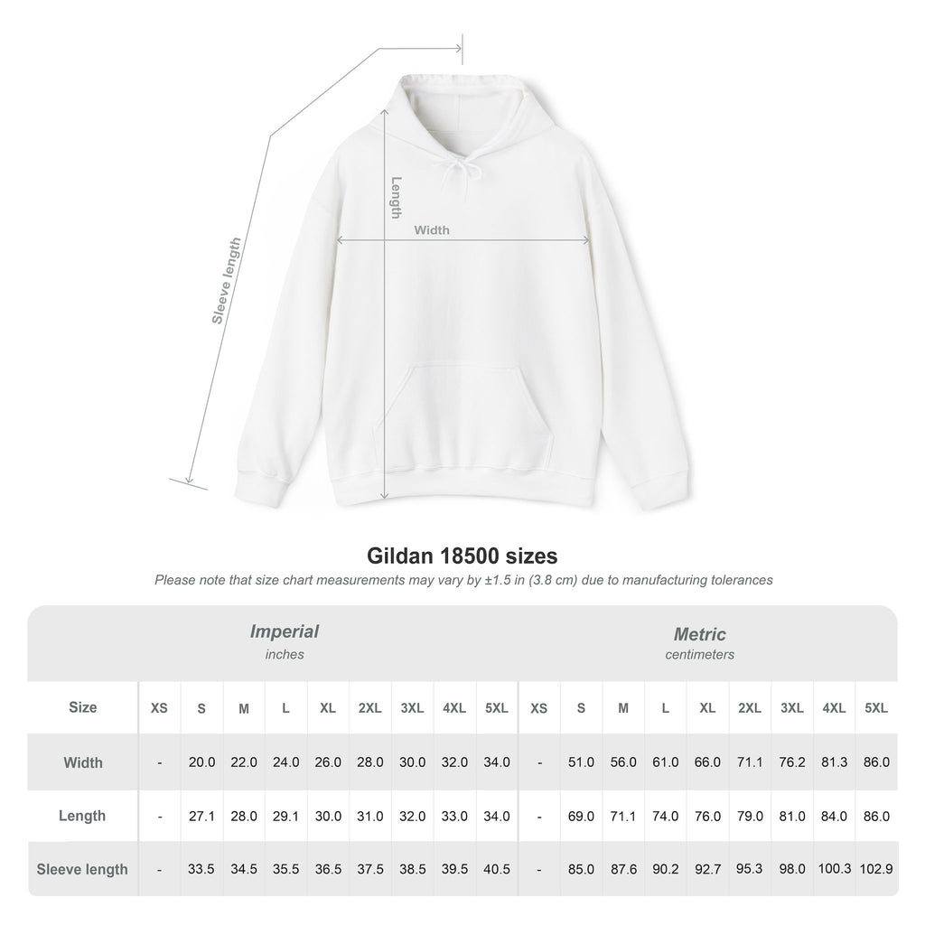 Williams F1 Hoodie