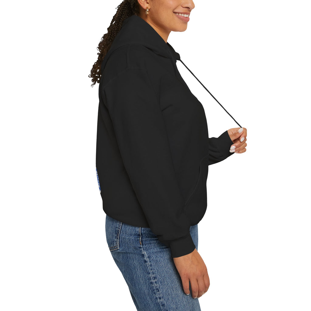 Williams F1 Hoodie
