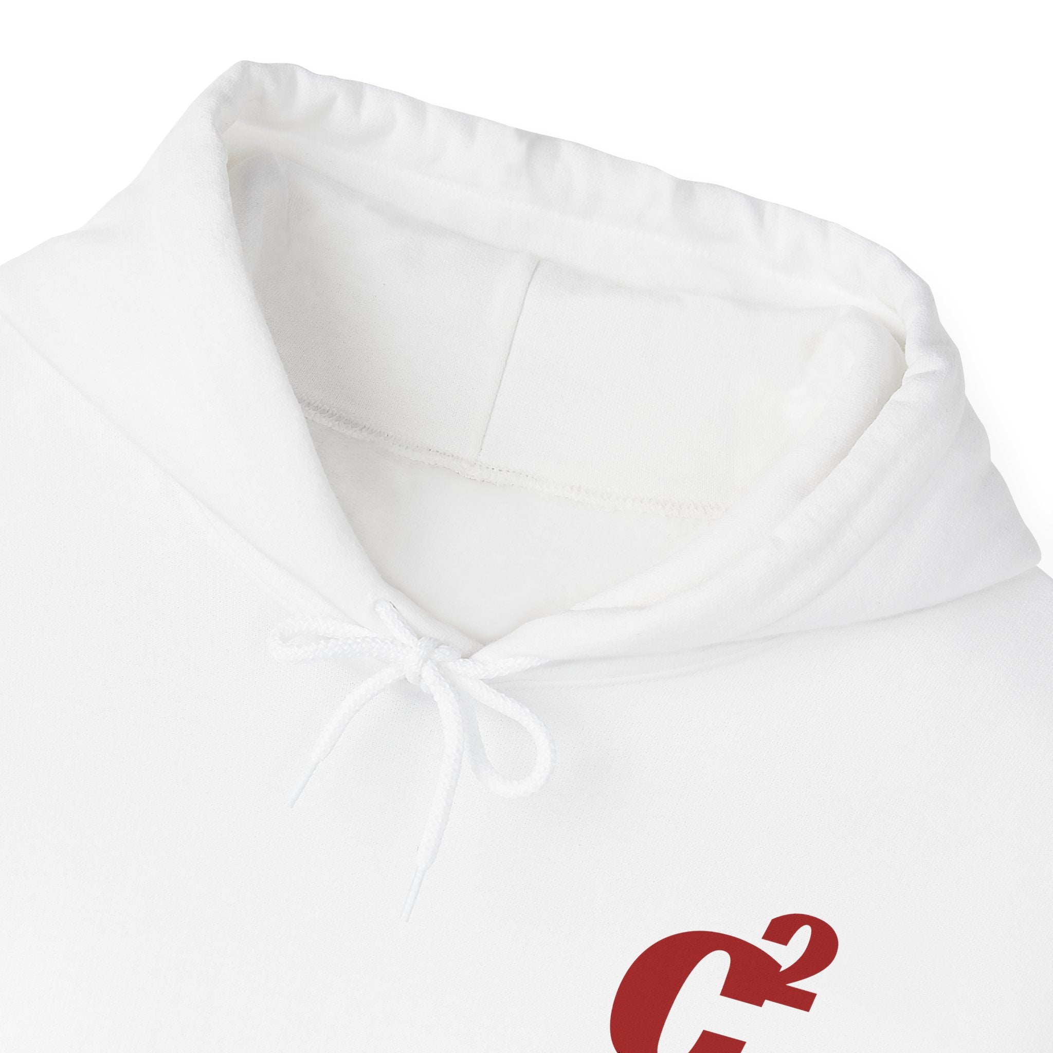 Carlos Sainz + Charles Leclerc Hoodie