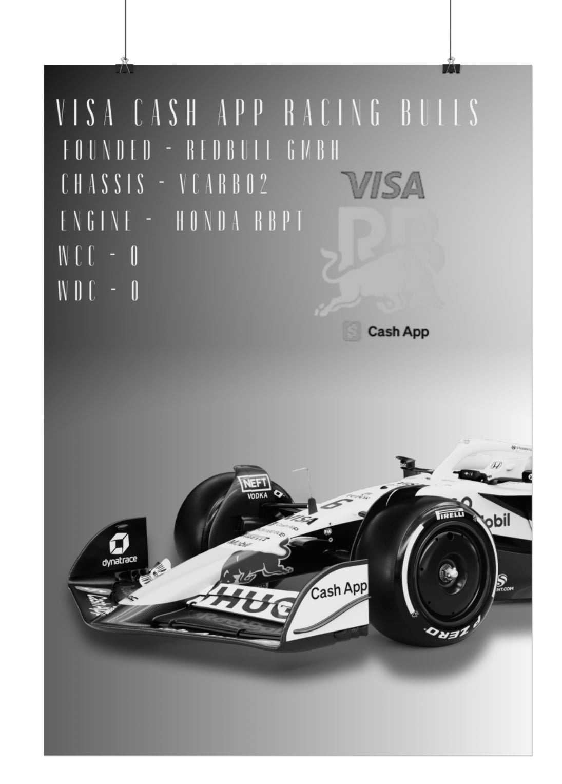 Racing Bulls Poster