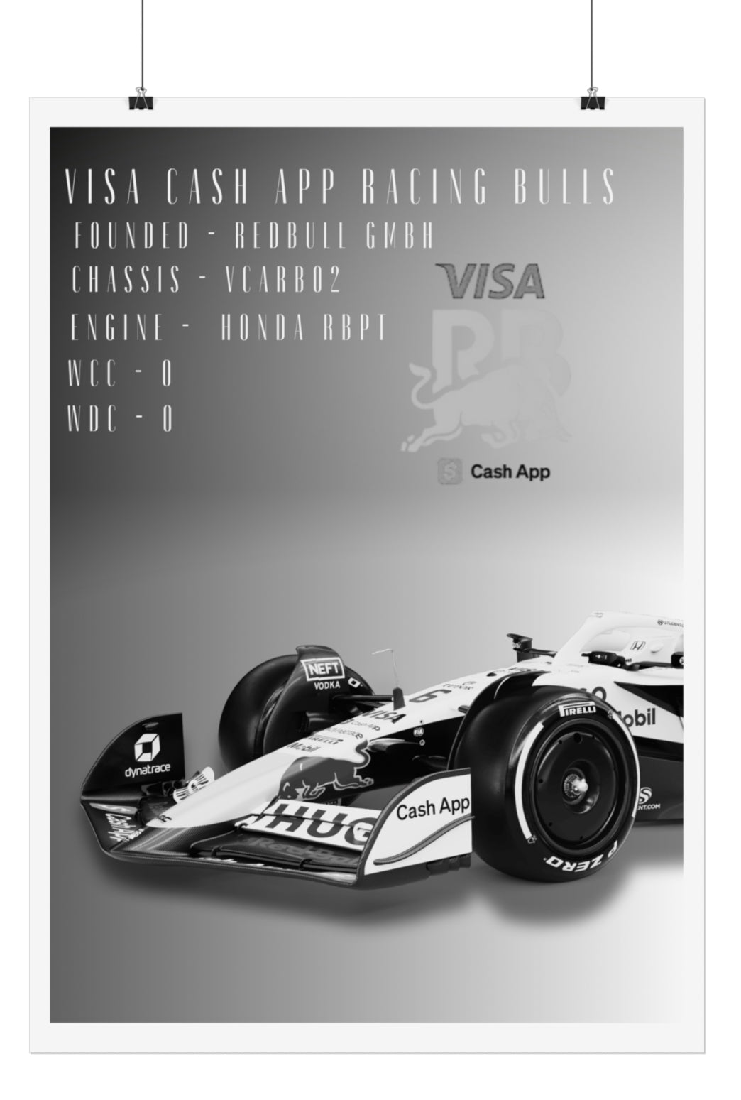 Racing Bulls Poster